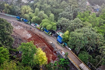 Aerial View Photography of Road Between Trees