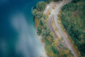Aerial View Photography of Road Between Trees