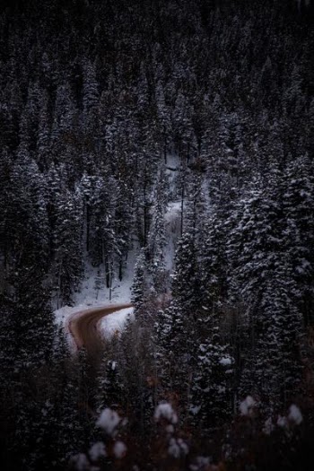 aerial view photography of road surrounded by snow-covered trees