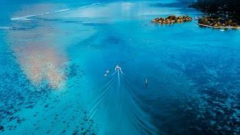 Aerial View Photography of Sea