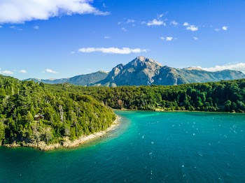 Aerial View Photography of Sea and Forest