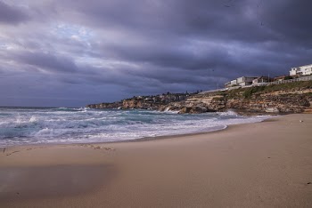 Aerial View Photography of Seashore