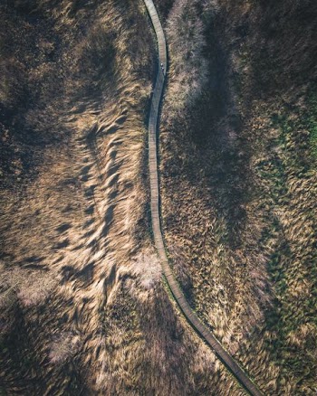 aerial view photography of train rail between grass at daytime