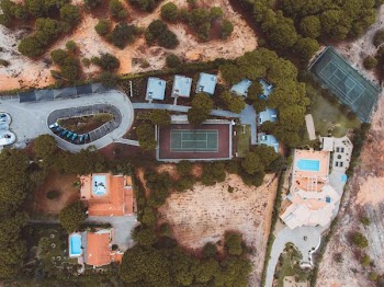 aerial view photography of trees