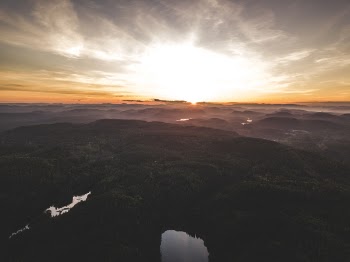 Aerial View Photography of Trees during Golden Hour