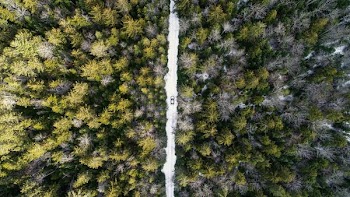 aerial view photography of vehicle on roadway between green leaf trees