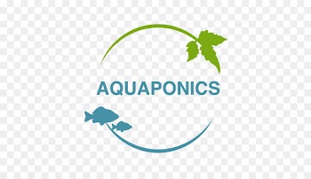 Aeroponics Aquaponics European Cooperation in Science and Technology Research - science 