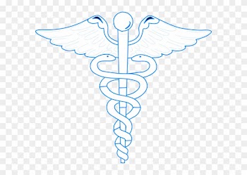 Aesculapian Staff Journal (medical Symbol)