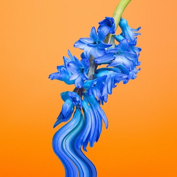 Aesthetic background orange wallpaper, blue… | Free stock illustration | High Resolution graphic