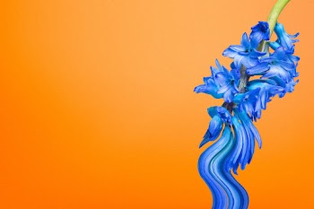 Aesthetic background orange wallpaper, blue… | Free stock illustration | High Resolution graphic