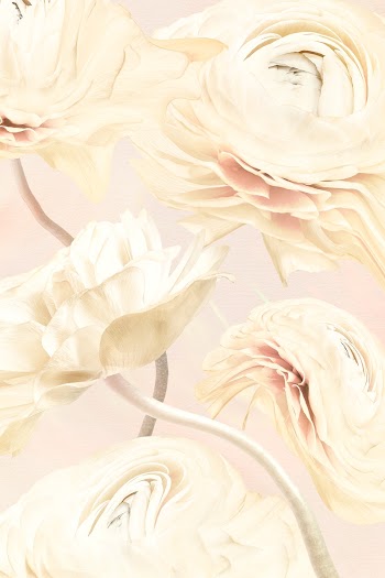 Aesthetic background, trippy beige buttercup… | Free stock illustration | High Resolution graphic