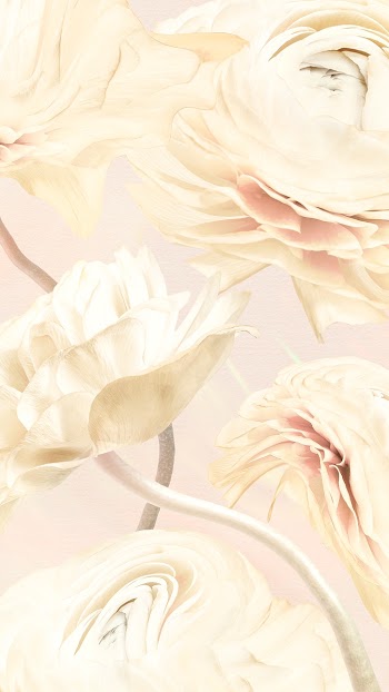 Aesthetic background, trippy beige buttercup… | Free stock illustration | High Resolution graphic