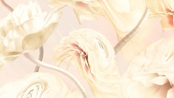 Aesthetic background, trippy beige buttercup… | Free stock illustration | High Resolution graphic