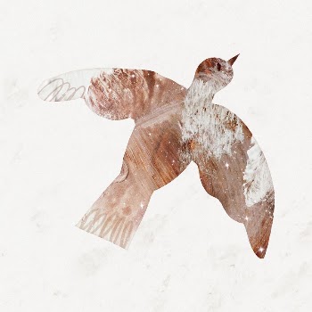 Aesthetic bird, granite texture silhouette | Free Photo Illustration - rawpixel