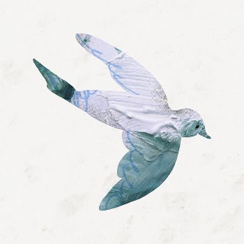 Aesthetic bird, paint texture silhouette | Free Photo Illustration - rawpixel