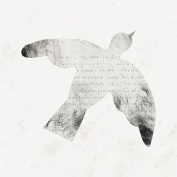 Aesthetic bird, vintage letter texture | Free Photo Illustration - rawpixel