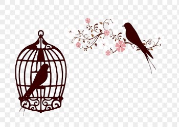 Aesthetic birds png sticker animal | Free PNG - rawpixel