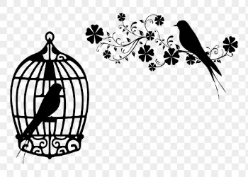Aesthetic birds png sticker animal | Free PNG - rawpixel