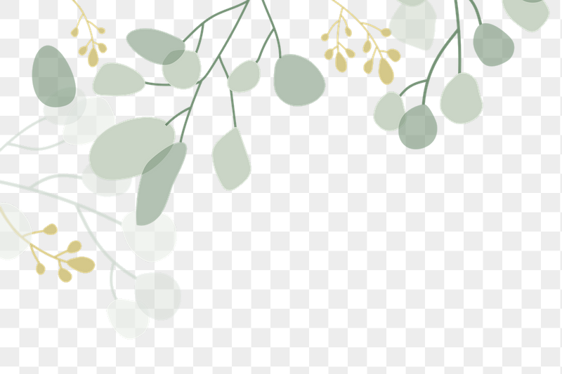 Aesthetic botanical png border, transparent | Free PNG - rawpixel