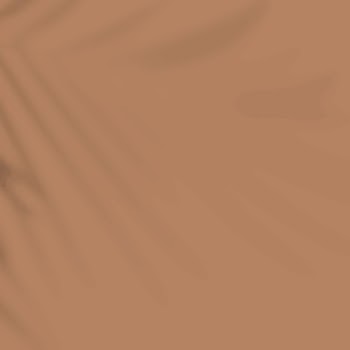 Aesthetic brown background, palm leaf | Free Photo - rawpixel