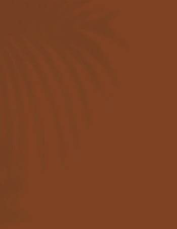 Aesthetic brown background, tropical palm | Free Photo - rawpixel