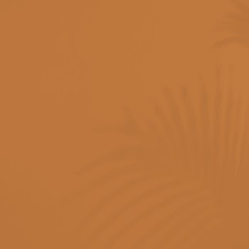 Aesthetic brown background, tropical palm | Free Photo - rawpixel