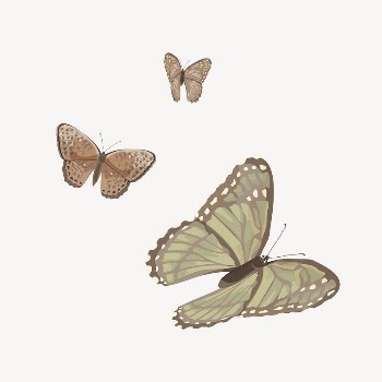 Aesthetic butterflies illustration collage element | Free Vector Illustration - rawpixel