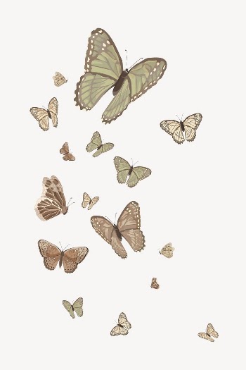 Aesthetic butterfly border background, vector | Free Vector Illustration - rawpixel