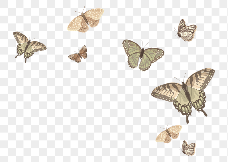 Aesthetic butterfly border png sticker | Free PNG - rawpixel