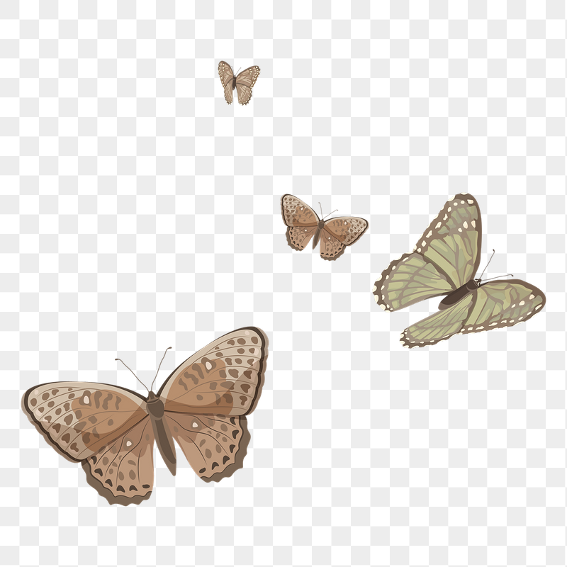 Aesthetic butterfly border png sticker | Free PNG - rawpixel