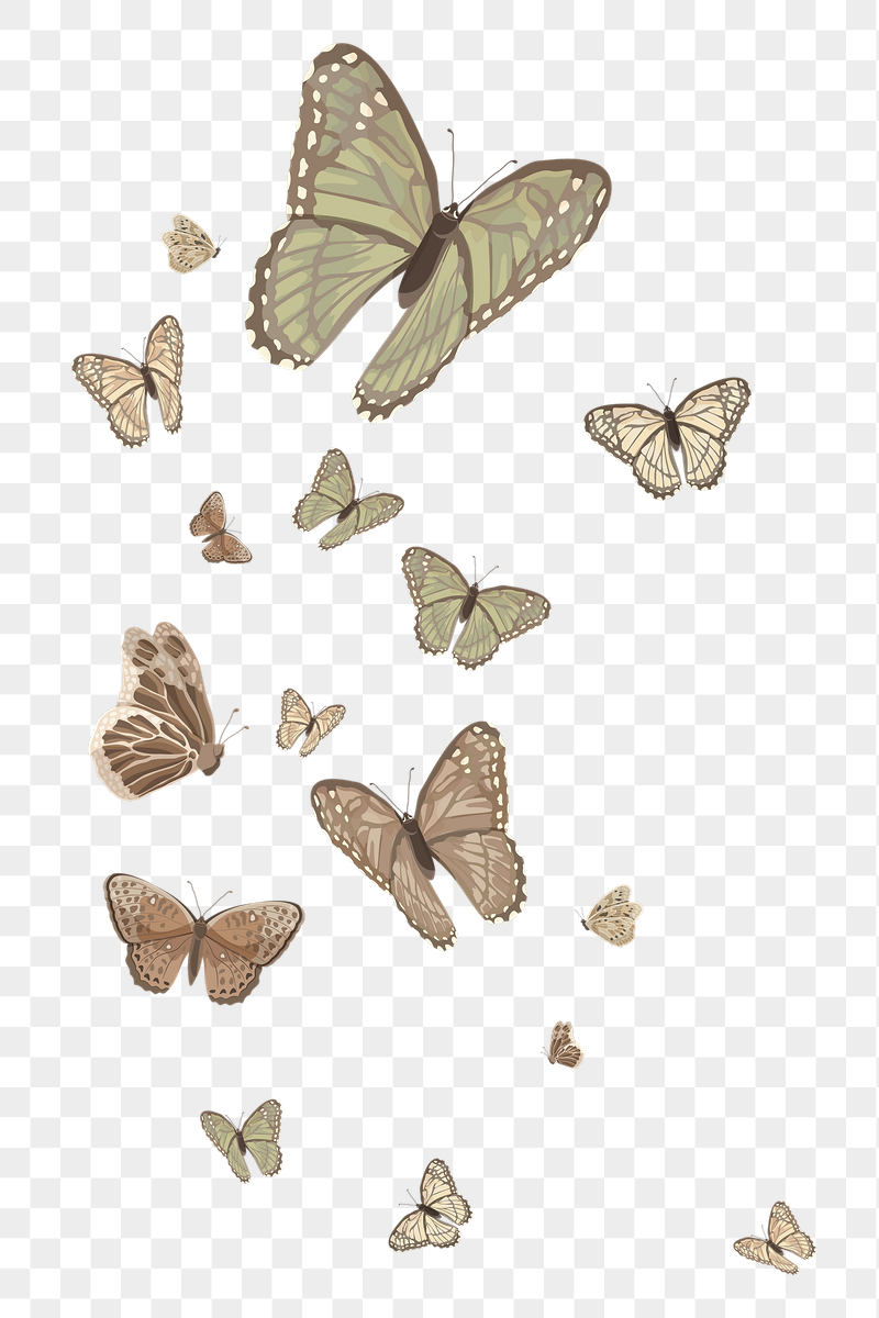 Aesthetic butterfly border png sticker | Free PNG - rawpixel