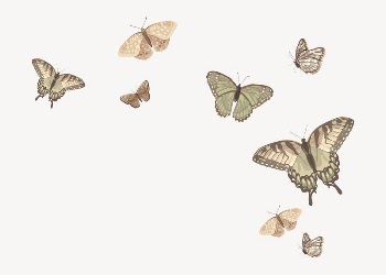 Aesthetic butterfly illustration background, vector | Free Vector Illustration - rawpixel