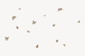 Aesthetic butterfly pattern background, collage | Free Vector Illustration - rawpixel