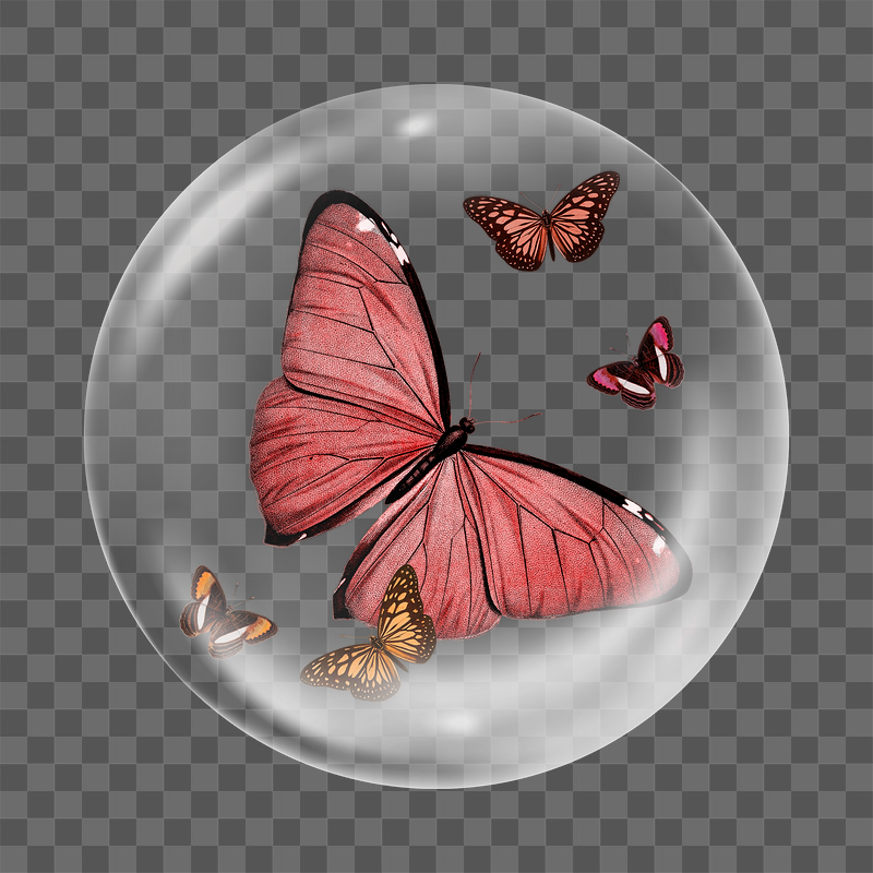 Aesthetic butterfly png flying sticker, | Free PNG - rawpixel