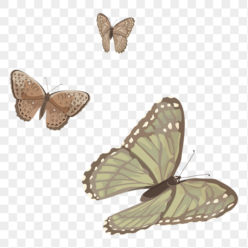 Aesthetic butterfly png illustration sticker, | Free PNG - rawpixel