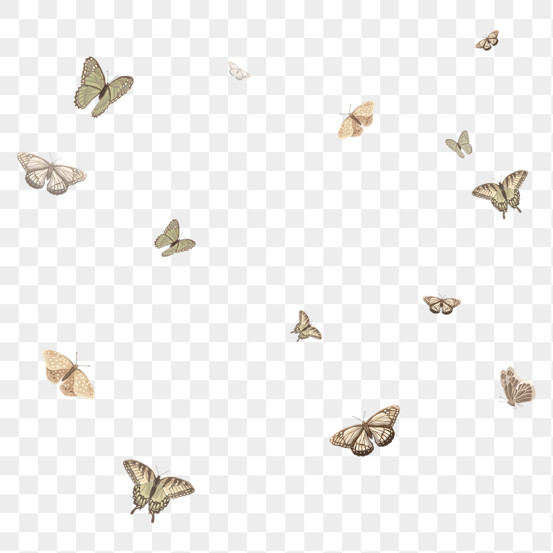 Aesthetic butterfly png pattern, transparent | Free PNG - rawpixel