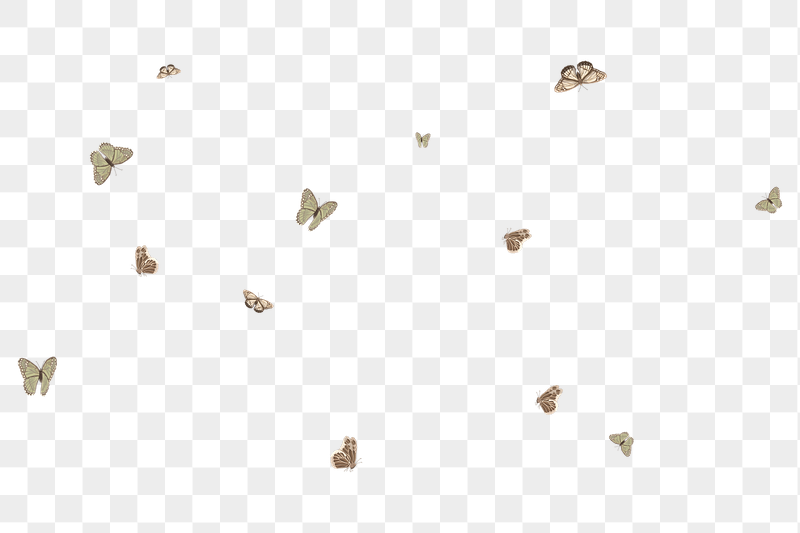 Aesthetic butterfly png pattern, transparent | Free PNG - rawpixel