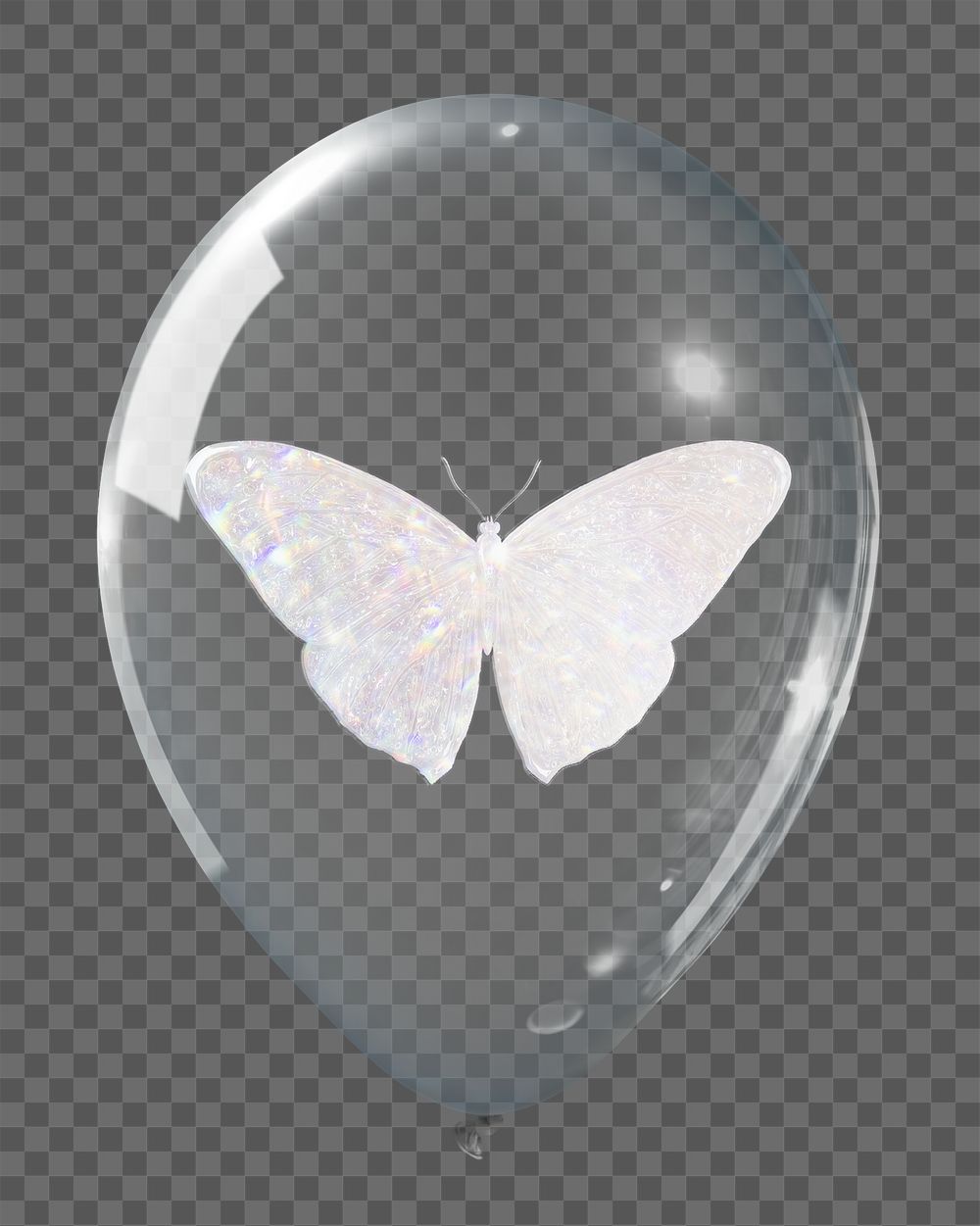 Aesthetic butterfly png sticker, animal | Free PNG - rawpixel