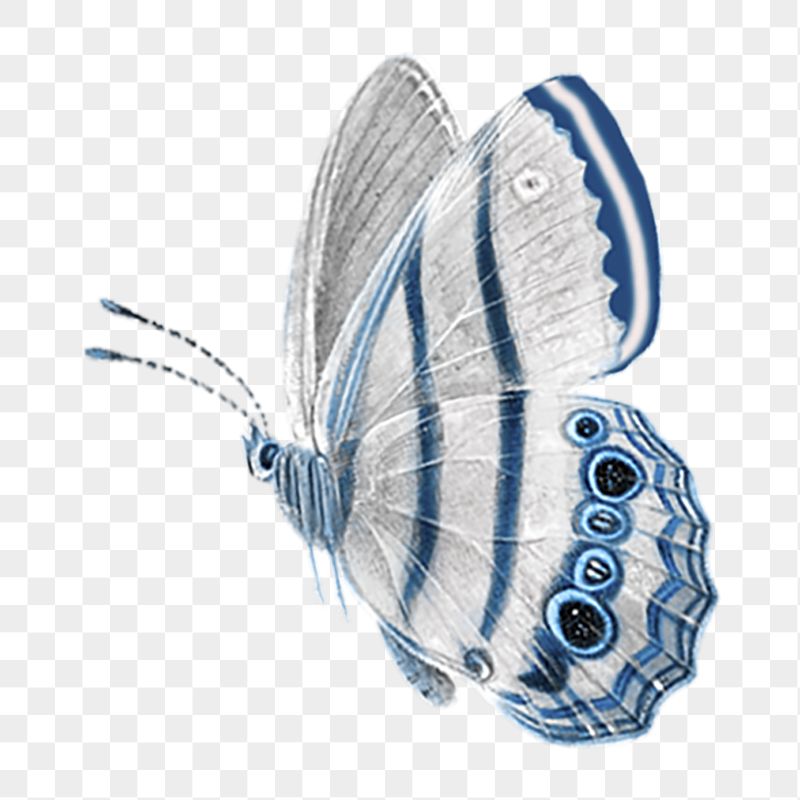 Aesthetic butterfly png sticker, transparent | Free PNG - rawpixel