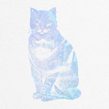 Aesthetic cat collage element, animal | Free PSD Illustration - rawpixel
