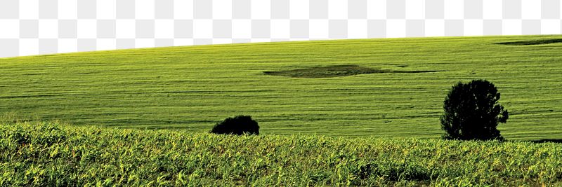 Aesthetic farm png border, transparent | Free PNG - rawpixel