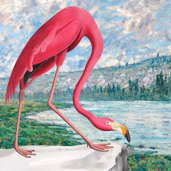 Aesthetic flamingo background, drawing design | Free Photo Illustration - rawpixel