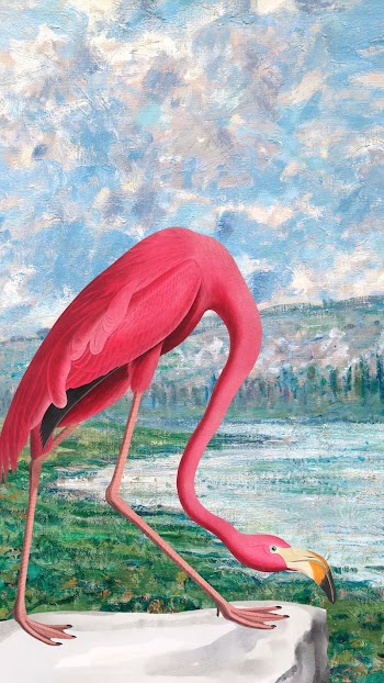 Aesthetic flamingo iPhone wallpaper, drawing | Free Photo Illustration - rawpixel