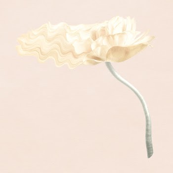 Aesthetic flower element, psychedelic beige… | Free stock illustration | High Resolution graphic