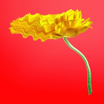 Aesthetic flower element, psychedelic yellow… | Free stock illustration | High Resolution graphic