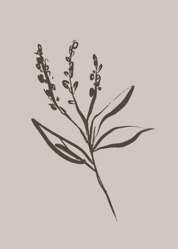 Aesthetic flower line art, Chinese | Free Photo - rawpixel