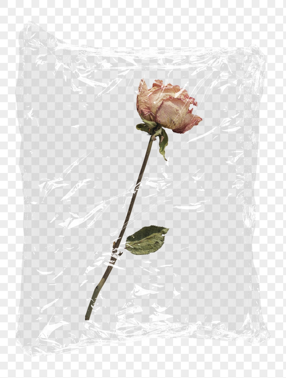 Aesthetic flower png plastic packaging | Free PNG - rawpixel