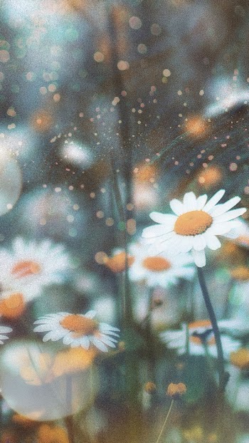 Aesthetic flowers mobile wallpaper, floral | Free Photo - rawpixel