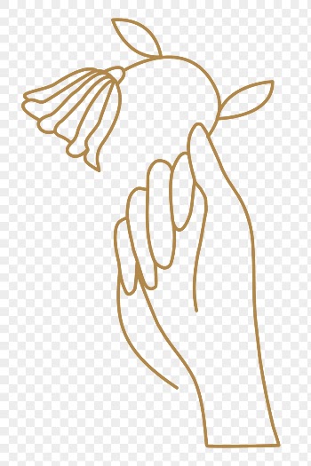Aesthetic hand png sticker on transparent | Free PNG - rawpixel
