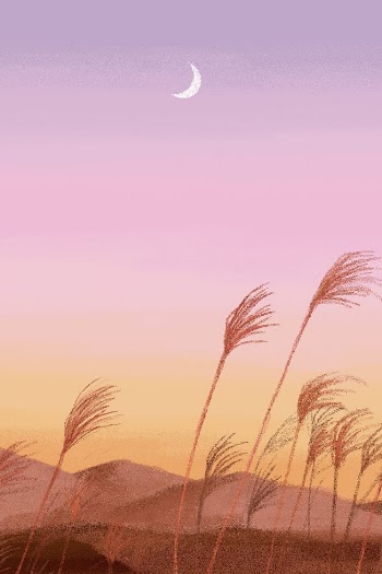 Aesthetic landscape background, colorful sunset | Free Photo Illustration - rawpixel